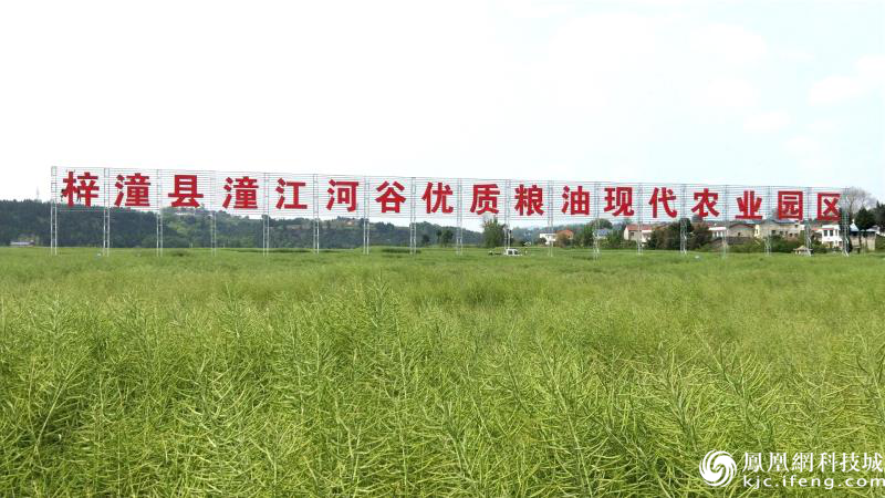 梓潼求职