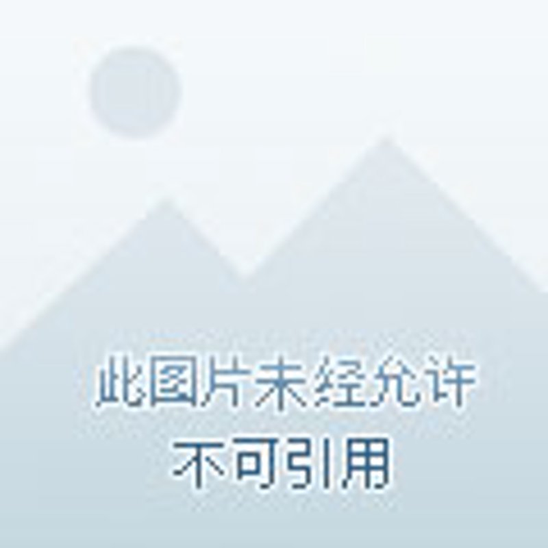 梓潼招聘信息:挖掘最新就业机会